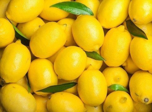 YELLOW LEMON
