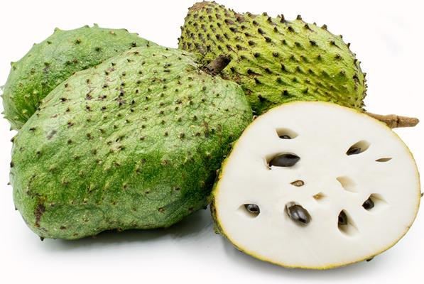 SOURSOP