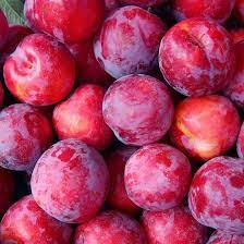 ENGLISH PLUM