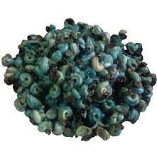 PERIWINKLE WITHOUT SHELL