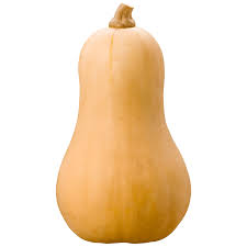  BUTTERNUT SQUASH
