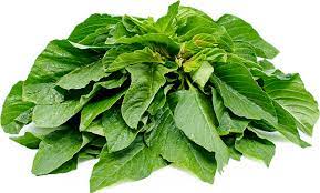 GREEN VEGETABLE